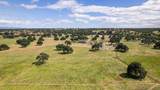 10890 Carey Lane - Photo 69