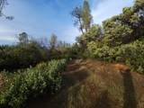  Powell Ridge Rd - Photo 16