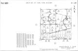 000 Tamie Ln - Photo 2