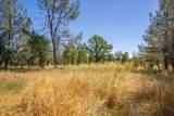 16440 Acero Drive - Photo 43