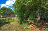 17106 Zanita Trail - Photo 39