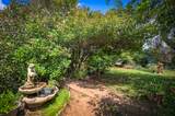 17106 Zanita Trail - Photo 40