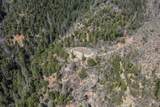 321 Black Bear Rd - Photo 15