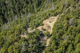 321 Black Bear Rd - Photo 19