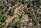 321 Black Bear Rd - Photo 21