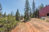 321 Black Bear Rd - Photo 39