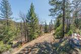 321 Black Bear Rd - Photo 40