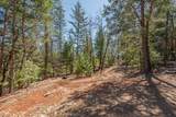 321 Black Bear Rd - Photo 45
