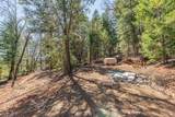 321 Black Bear Rd - Photo 46