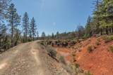 321 Black Bear Rd - Photo 47