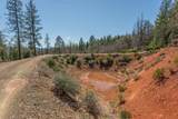 321 Black Bear Rd - Photo 48