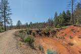 321 Black Bear Rd - Photo 49
