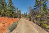 321 Black Bear Rd - Photo 50