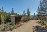 321 Black Bear Rd - Photo 53