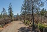 321 Black Bear Rd - Photo 54
