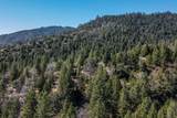 321 Black Bear Rd - Photo 9
