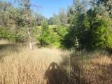 12910 Old Oregon Trl - Photo 11