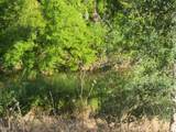 12910 Old Oregon Trl - Photo 12