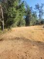 12910 Old Oregon Trl - Photo 2