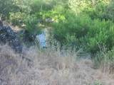 12910 Old Oregon Trl - Photo 7
