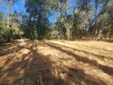 12910 Old Oregon Trl - Photo 9