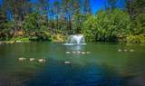 3304 Shasta Dam Blvd - Photo 34