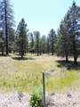 0000 Shoshoni Loop - Photo 11