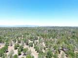 0000 Shoshoni Loop - Photo 6