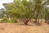 12560 Moon Shadow Ranch Road - Photo 62