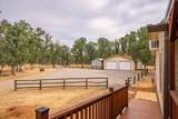 12560 Moon Shadow Ranch Road - Photo 7