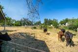 7071 Churn Creek Road - Photo 37