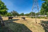 7071 Churn Creek Road - Photo 39