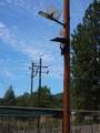 00 Antler School Rd - Photo 15