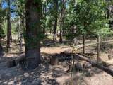 9341 Ponderosa Way - Photo 5