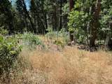 9341 Ponderosa Way - Photo 8