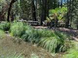 9341 Ponderosa Way - Photo 9