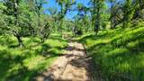 Lot 201 Perla Rd - Photo 19