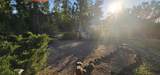 21778 Shady Oak Lane - Photo 56