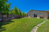 1390 Donita Drive - Photo 29