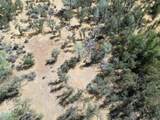 0000 Hazen Rd - Photo 11