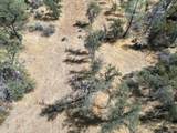 0000 Hazen Rd - Photo 12