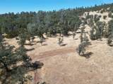 0000 Hazen Rd - Photo 14
