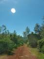 0000 Hazen Rd - Photo 3