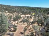 0000 Hazen Rd - Photo 8