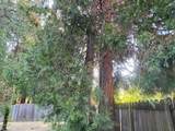 20229 Arrowood Street - Photo 6