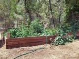 14780 Bollibokka Way - Photo 13