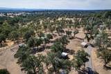 21774 Oak Meadow Road - Photo 13