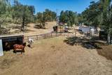 21774 Oak Meadow Road - Photo 15