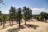 21774 Oak Meadow Road - Photo 81