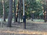 34791 Big Trees Lane - Photo 3